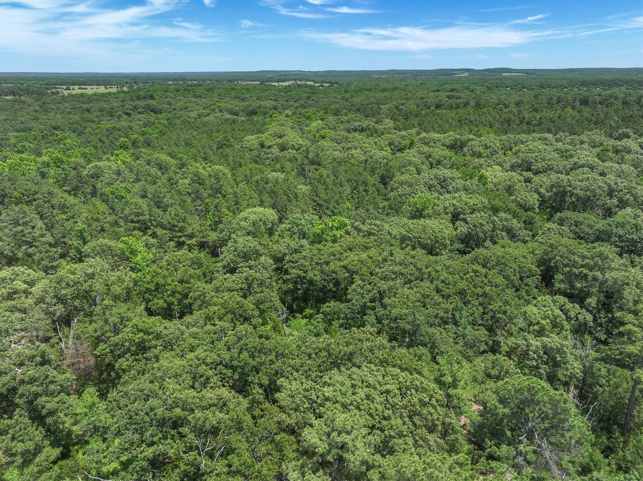 Tbd Pvt. Rd 8079 Road Ben Wheeler TX 75754