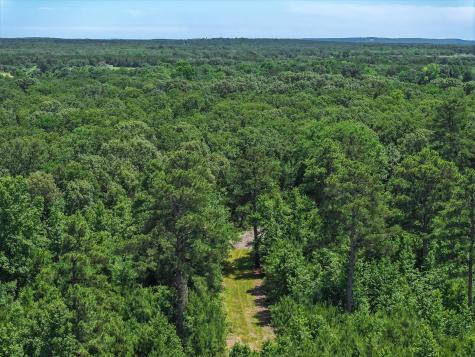 Tbd Pvt. Rd 8079 Road Ben Wheeler TX 75754