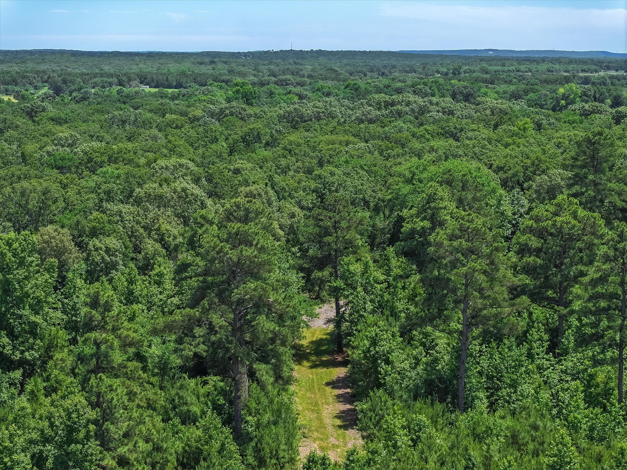 Tbd Pvt. Rd 8079 Road Ben Wheeler TX 75754