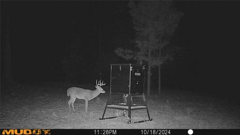 Tbd Pvt. Rd 8079 Road Ben Wheeler TX 75754