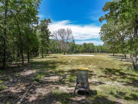 Tbd Pvt. Rd 8079 Road Ben Wheeler TX 75754