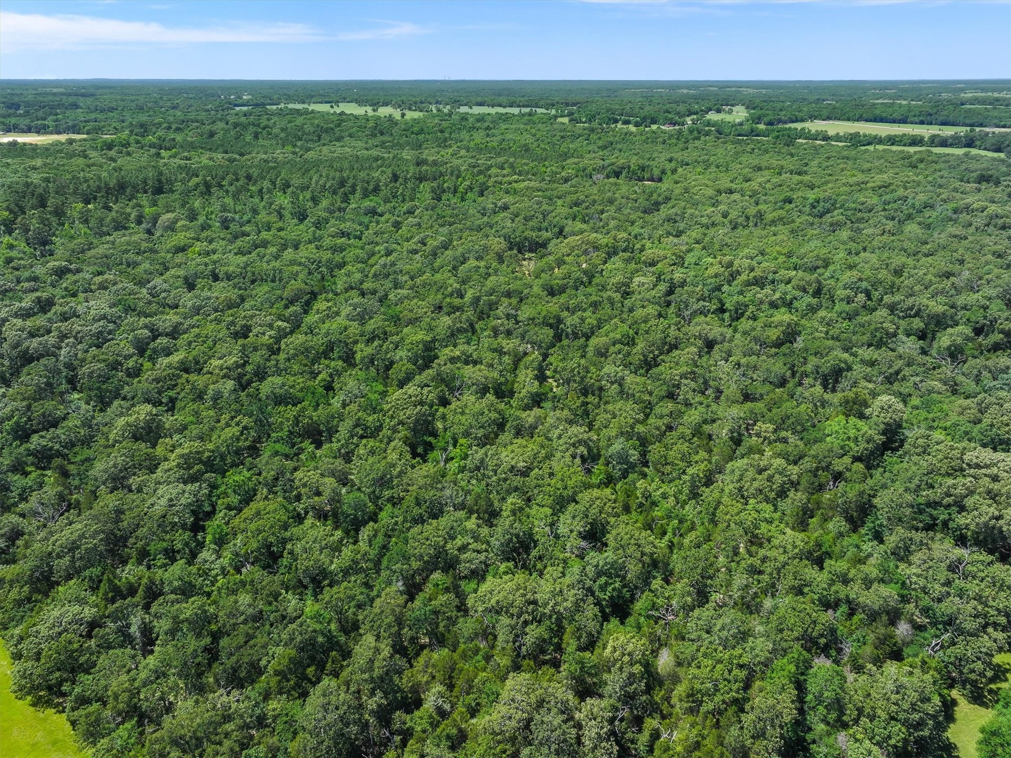 Tbd Pvt. Rd 8079 Road Ben Wheeler TX 75754