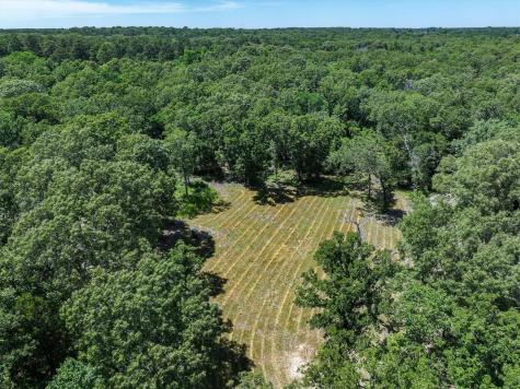Tbd Pvt. Rd 8079 Road Ben Wheeler TX 75754