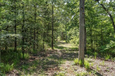 Tbd Pvt. Rd 8079 Road Ben Wheeler TX 75754