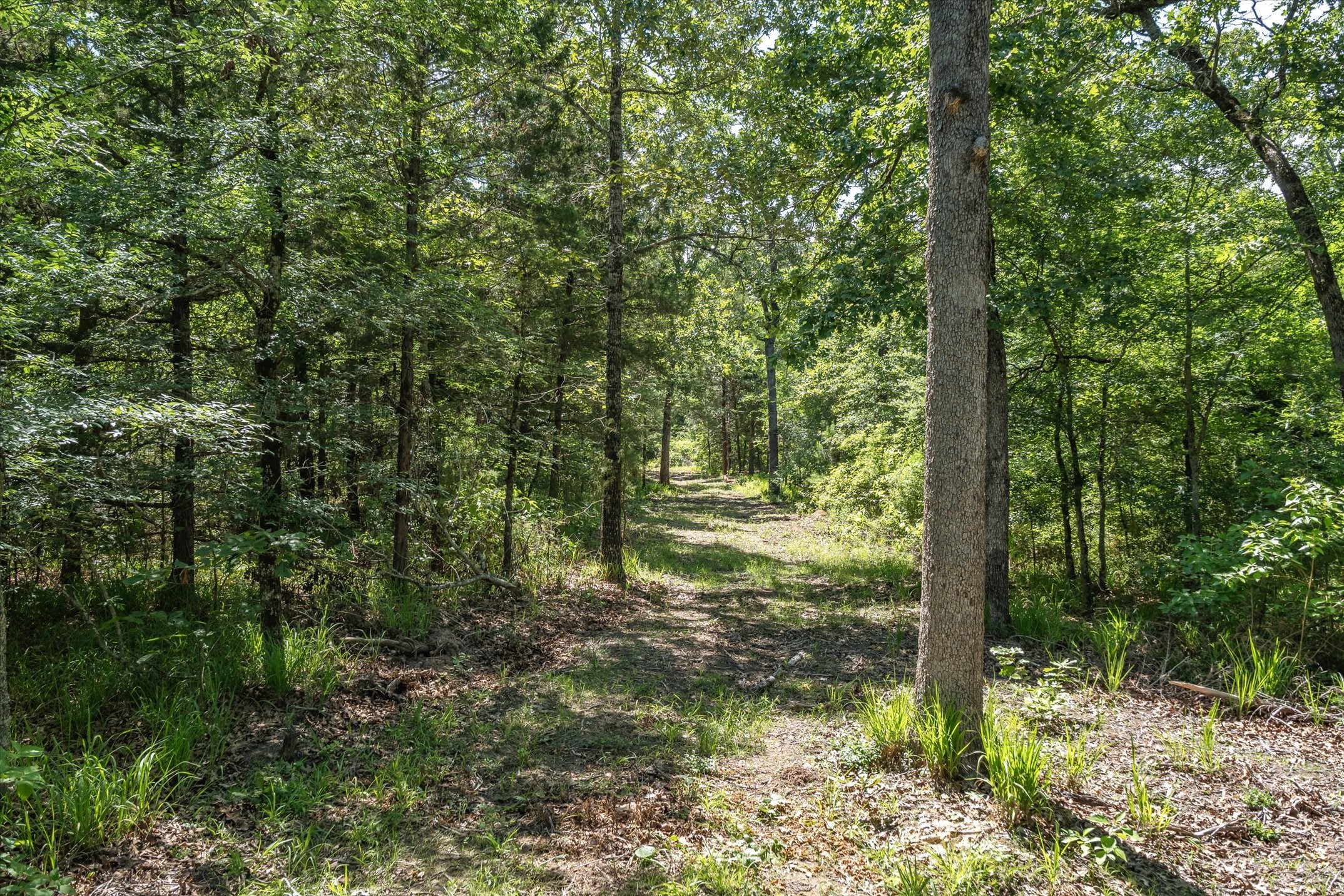 Tbd Pvt. Rd 8079 Road Ben Wheeler TX 75754