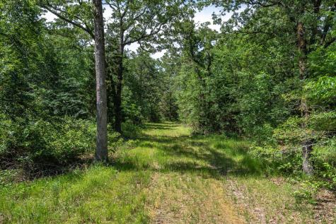 Tbd Pvt. Rd 8079 Road Ben Wheeler TX 75754