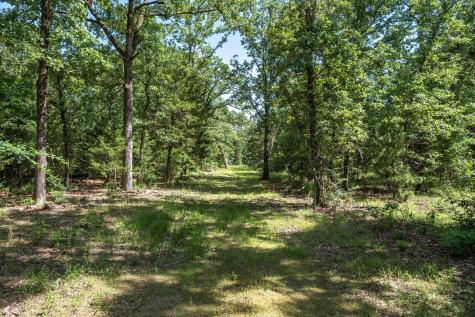 Tbd Pvt. Rd 8079 Road Ben Wheeler TX 75754