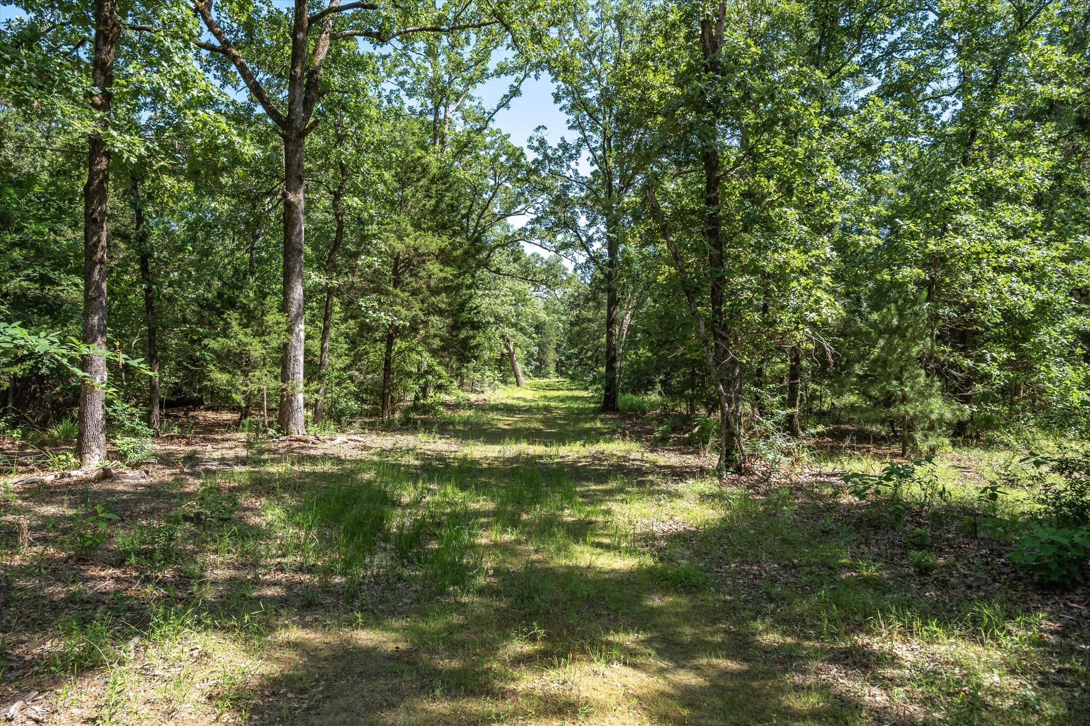 Tbd Pvt. Rd 8079 Road Ben Wheeler TX 75754