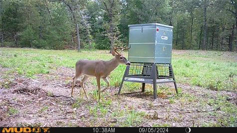 Tbd Pvt. Rd 8079 Road Ben Wheeler TX 75754