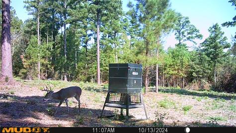 Tbd Pvt. Rd 8079 Road Ben Wheeler TX 75754