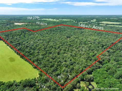 Tbd Pvt. Rd 8079 Road Ben Wheeler TX 75754