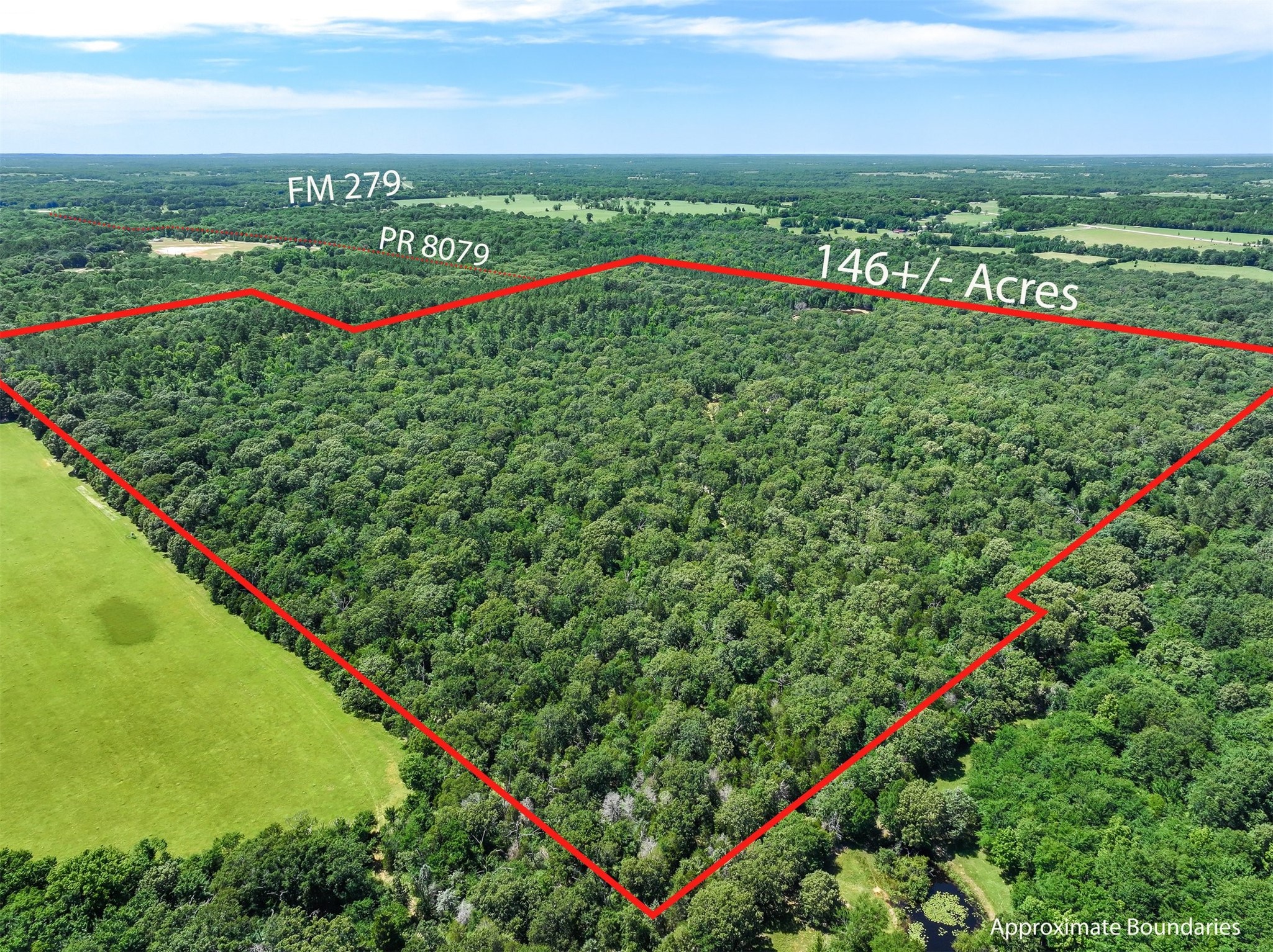 Tbd Pvt. Rd 8079 Road Ben Wheeler TX 75754