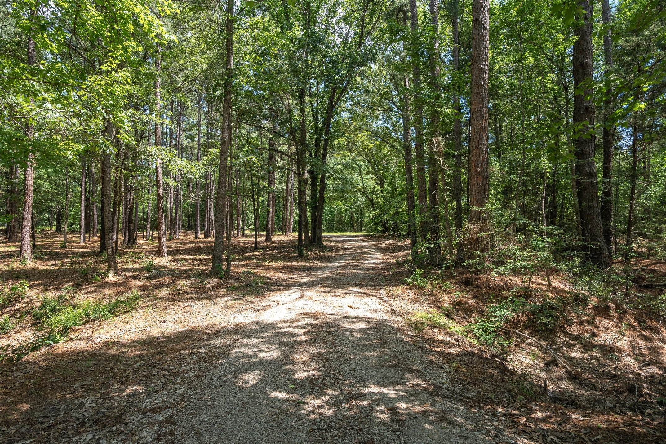Tbd Pvt. Rd 8079 Road Ben Wheeler TX 75754