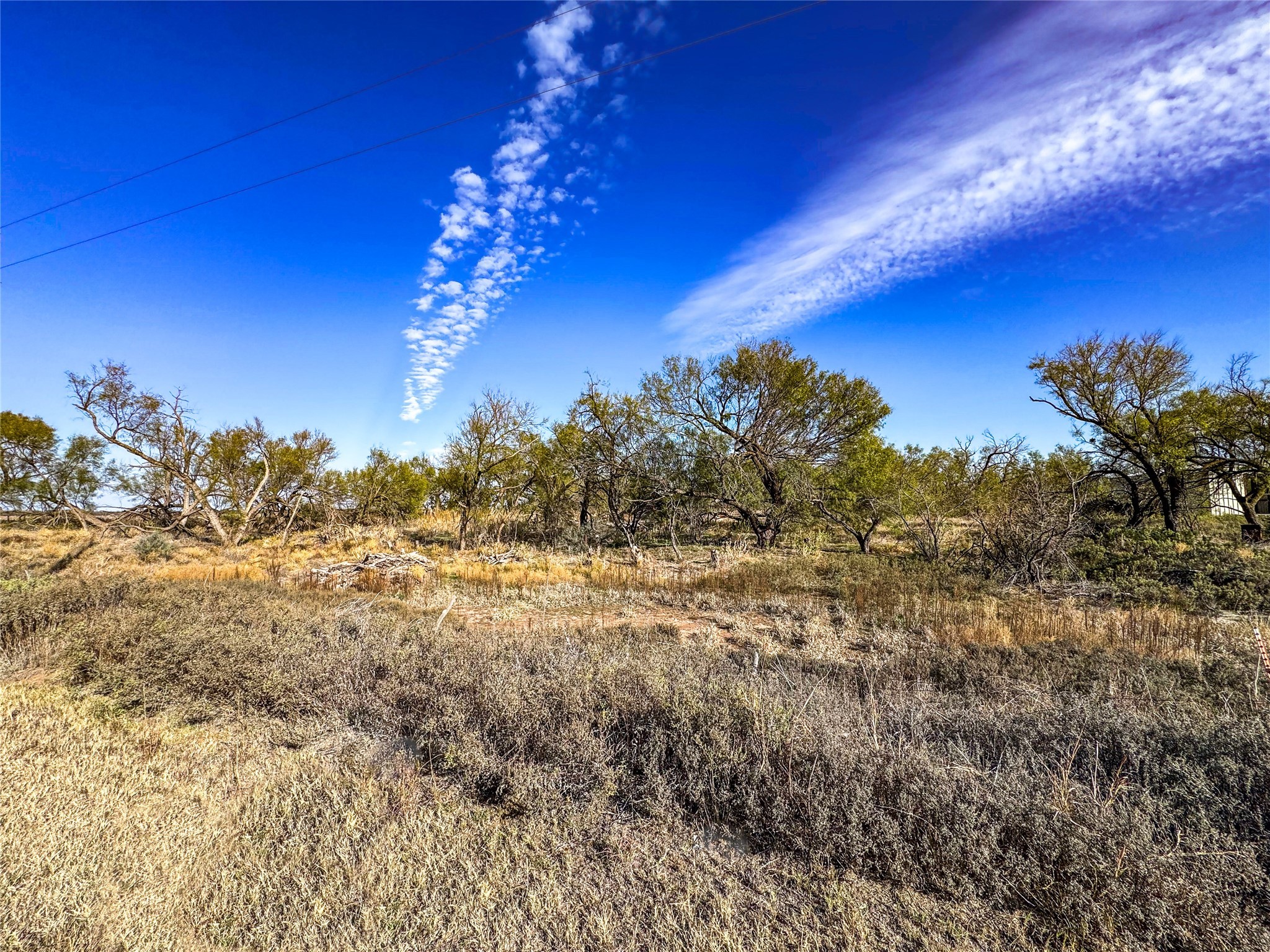 Tbd Street Highway 6 S Knox City TX 79529