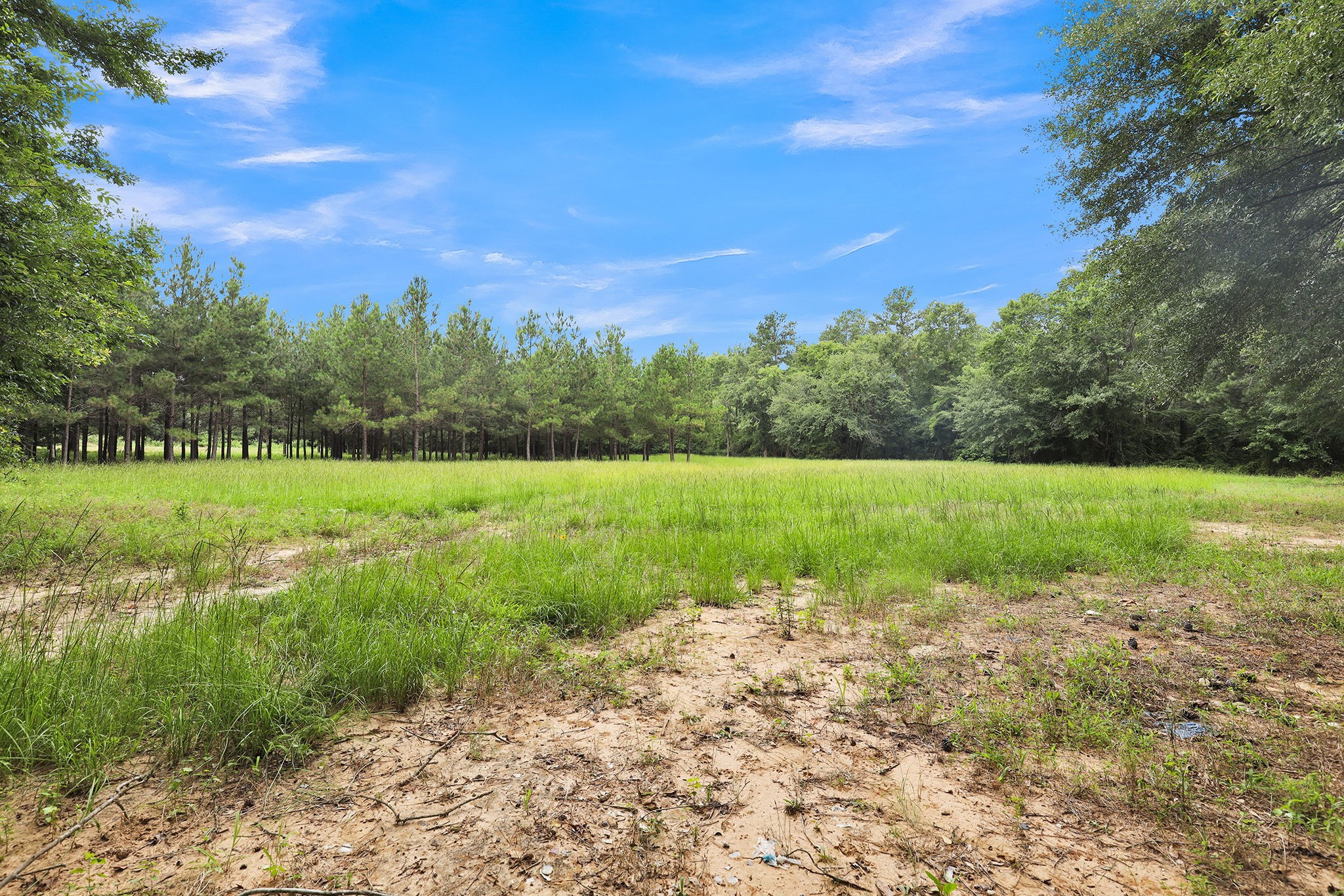 10114 County Road 272 Tyler TX 75707