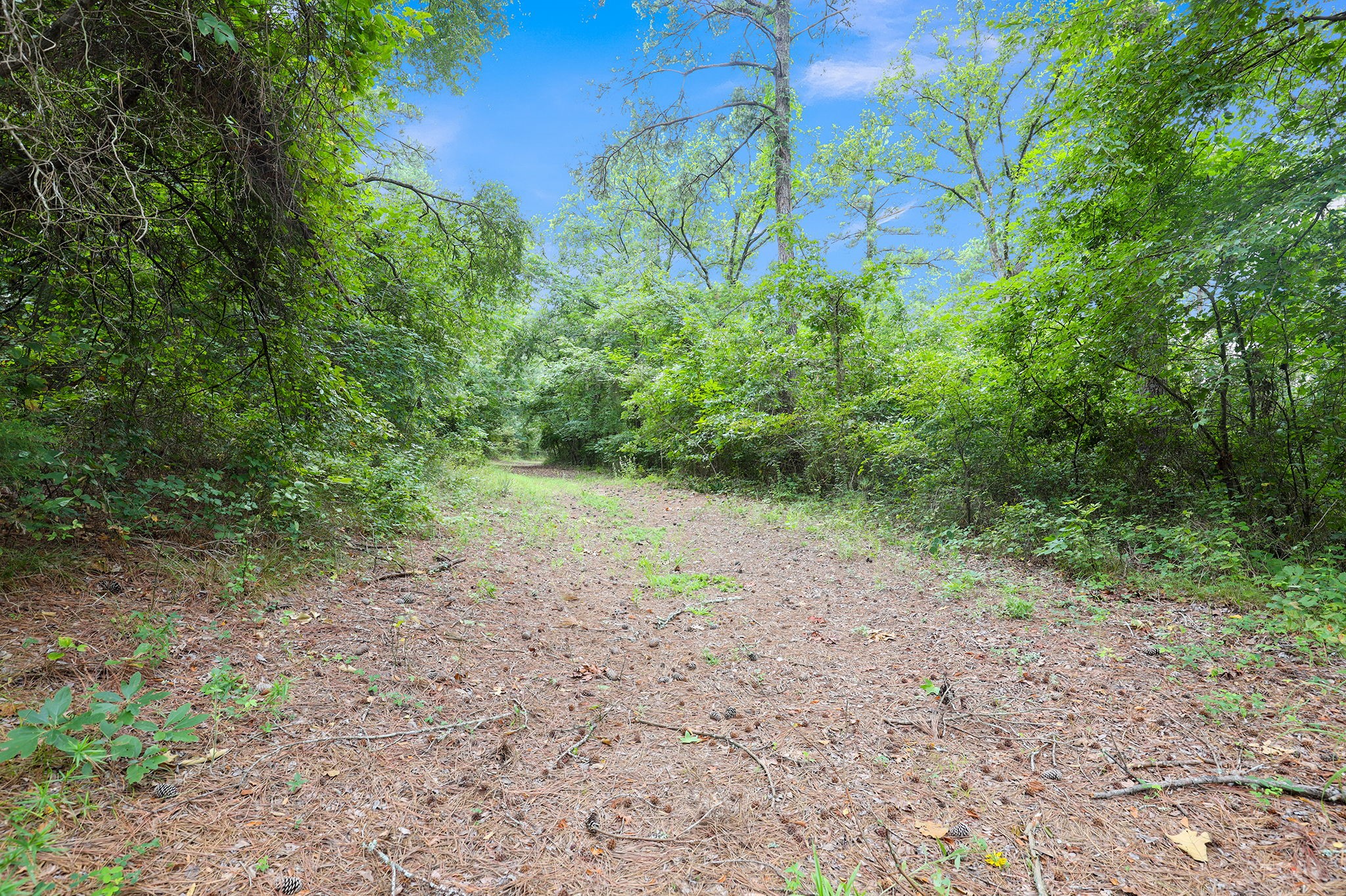 10114 County Road 272 Tyler TX 75707