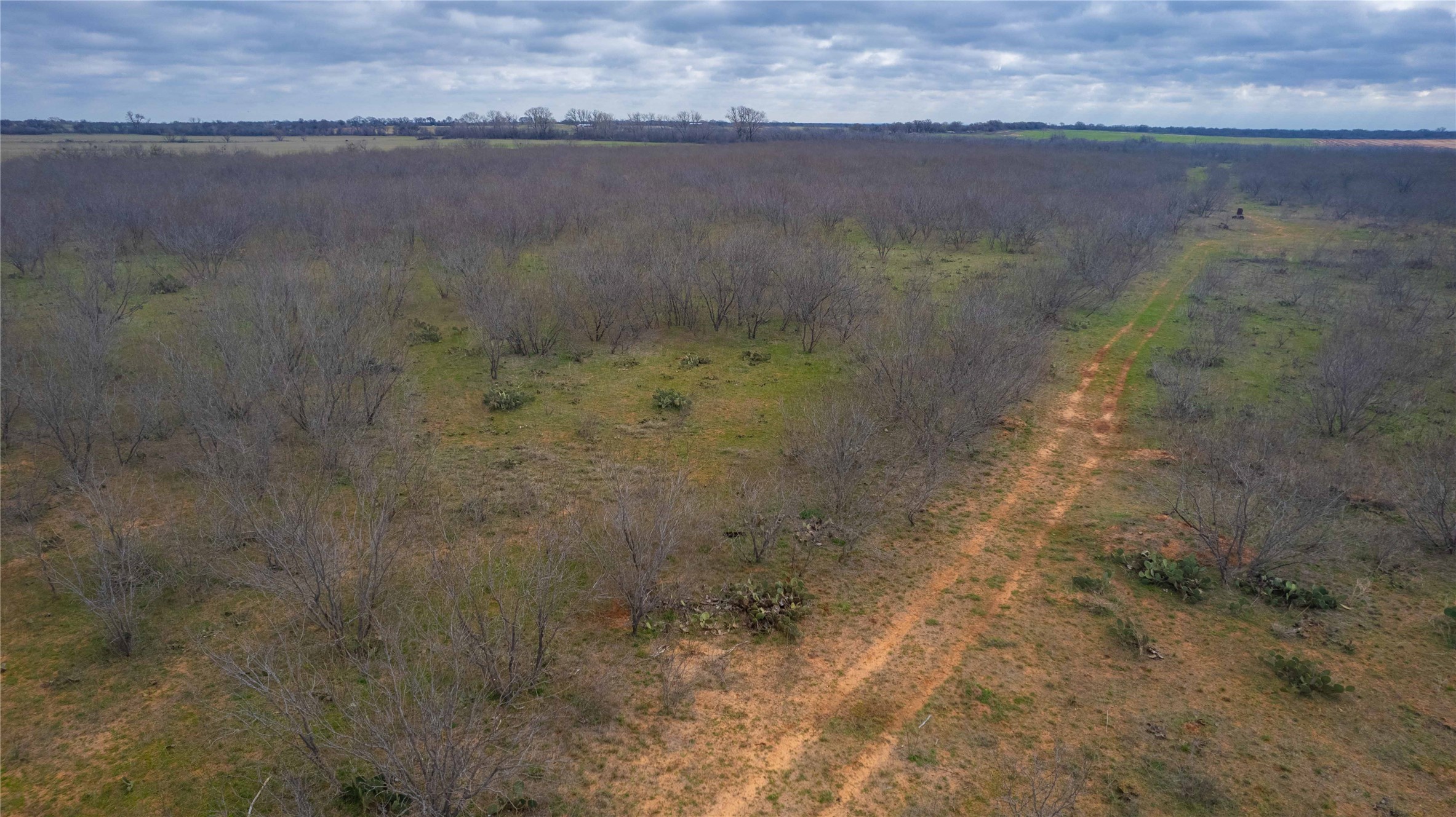 801 County Road 166 Gorman TX 76454