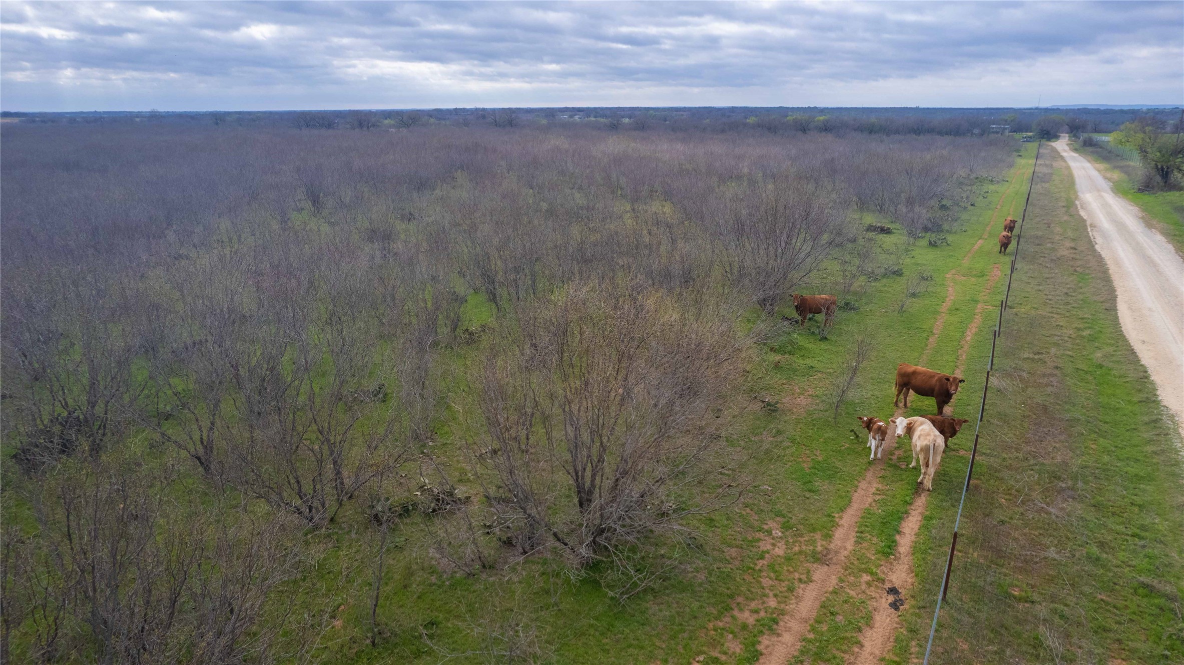801 County Road 166 Gorman TX 76454