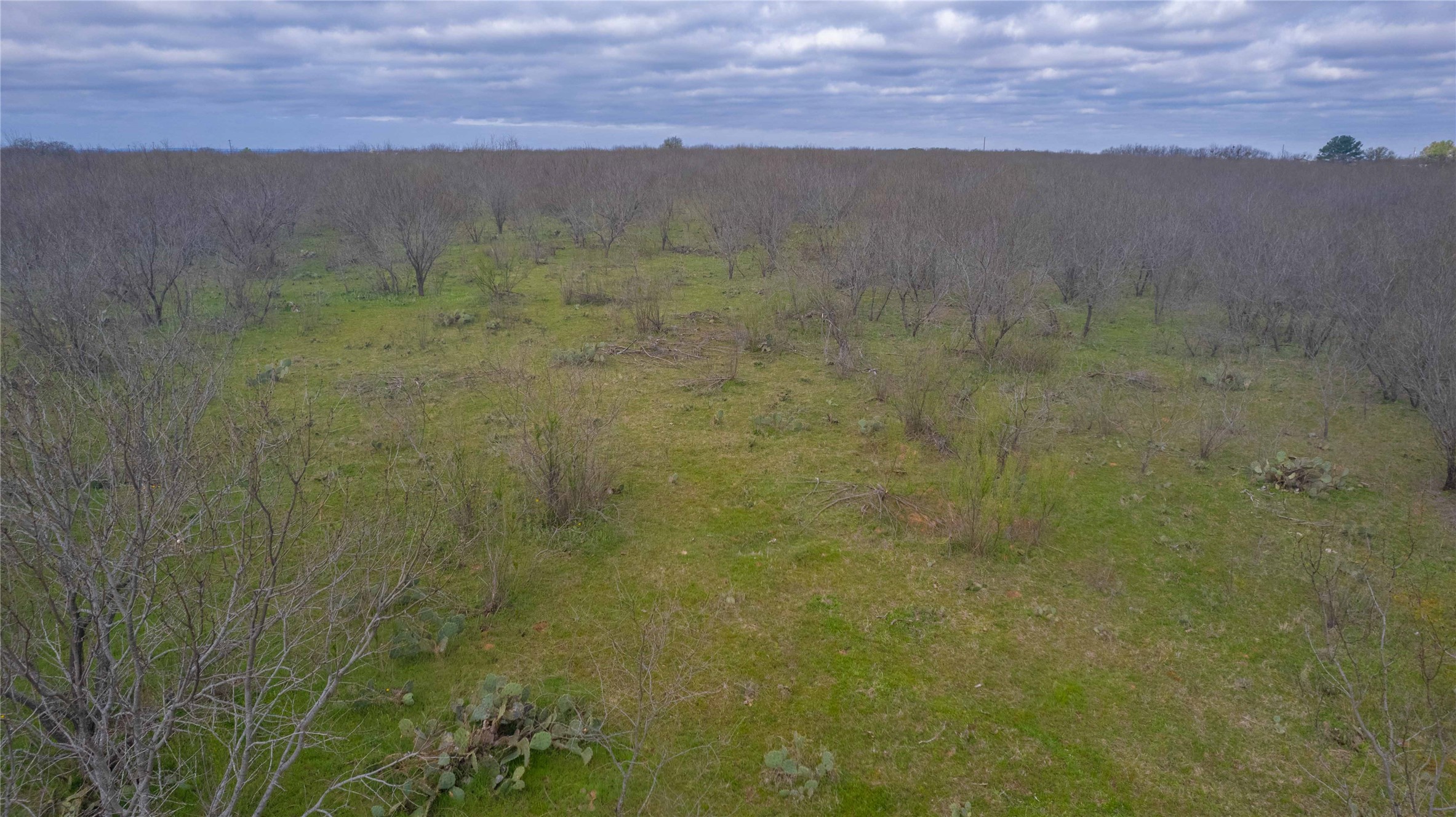 801 County Road 166 Gorman TX 76454