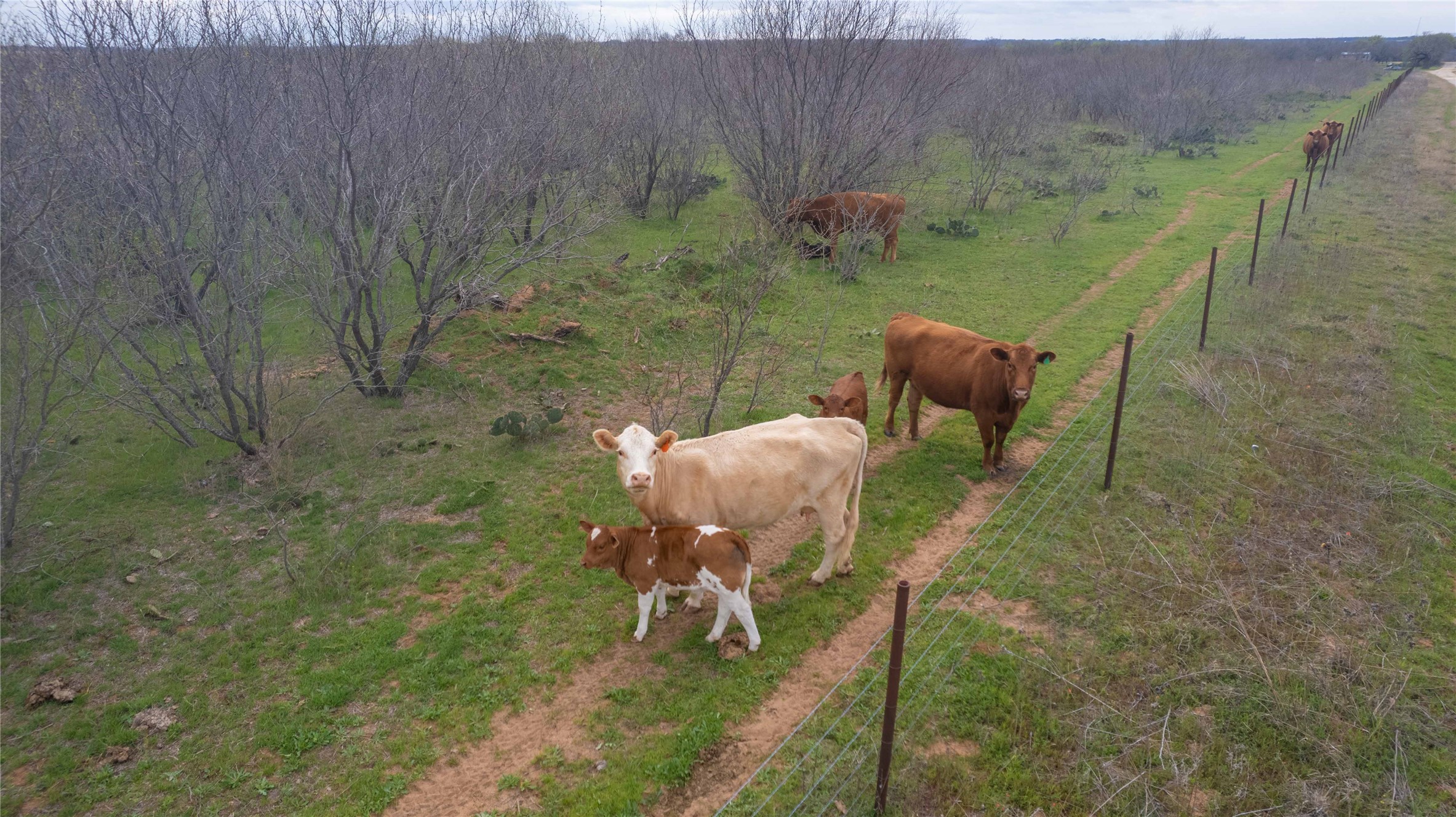 801 County Road 166 Gorman TX 76454