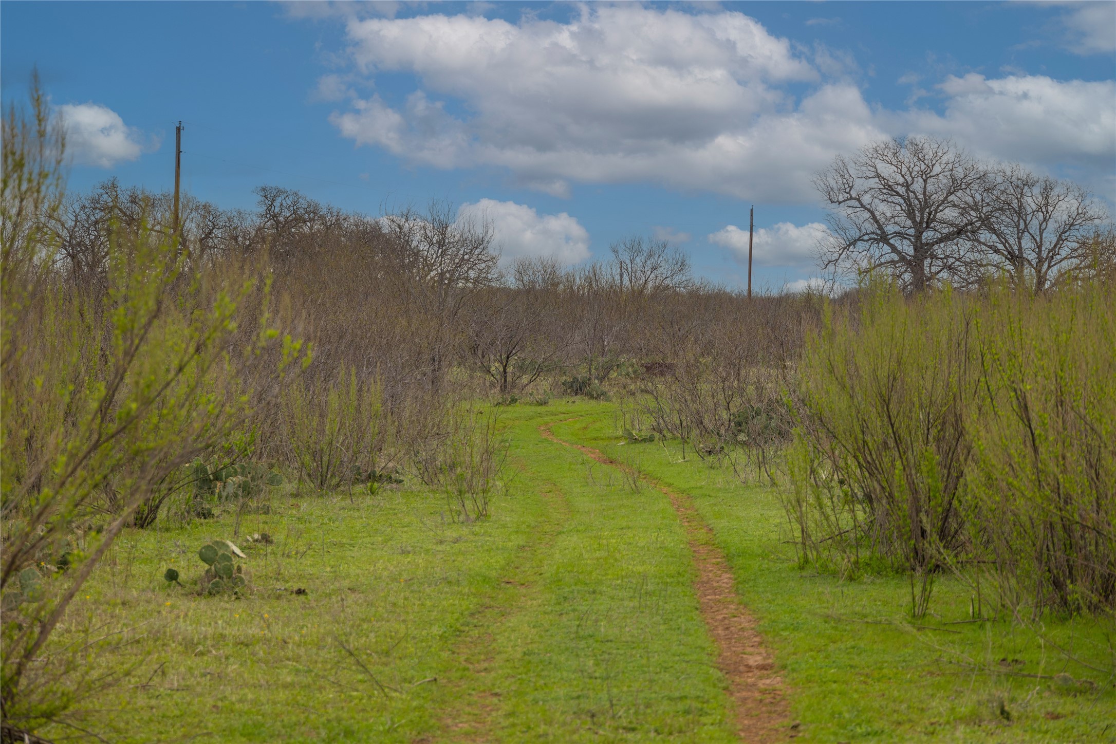 801 County Road 166 Gorman TX 76454