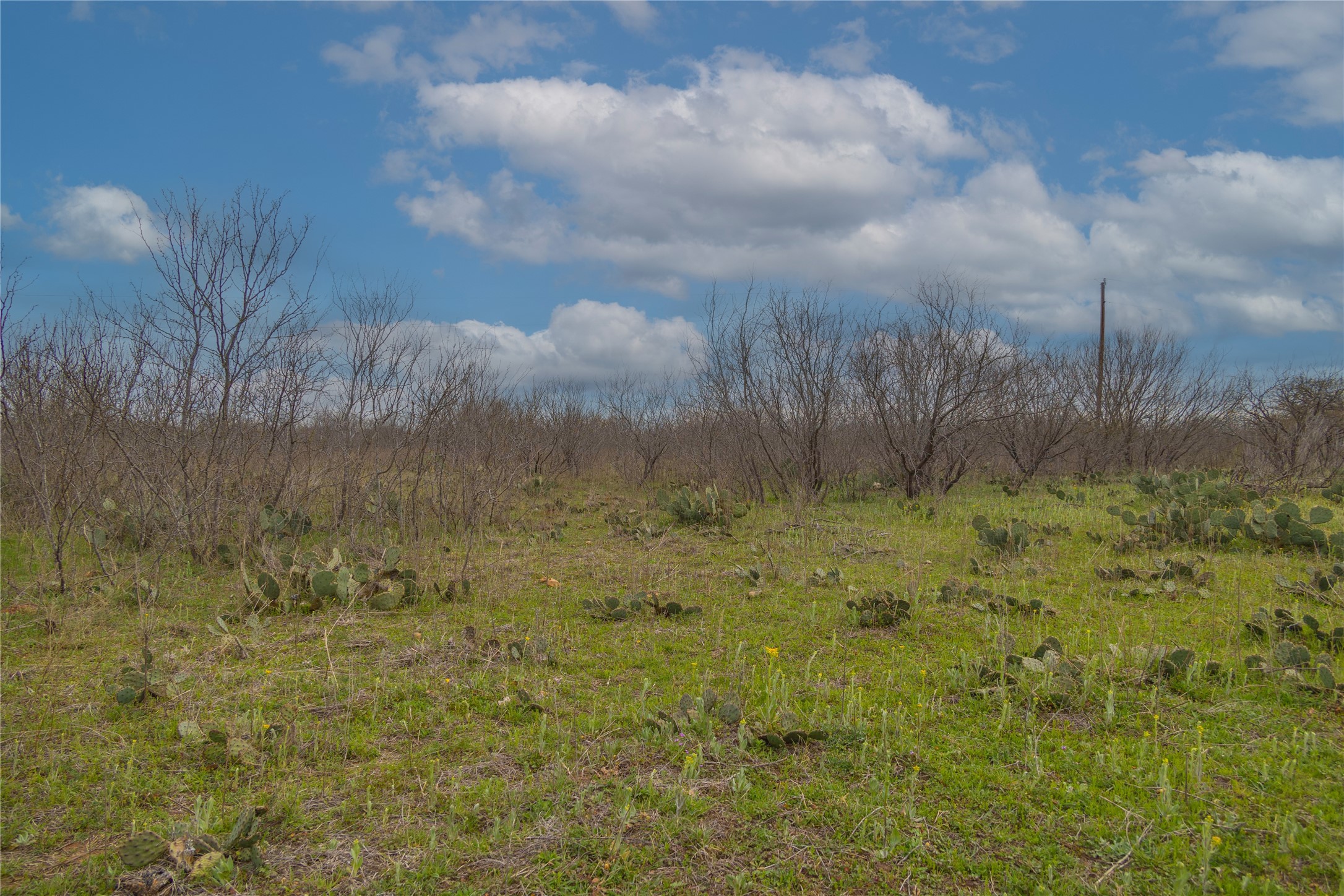 801 County Road 166 Gorman TX 76454