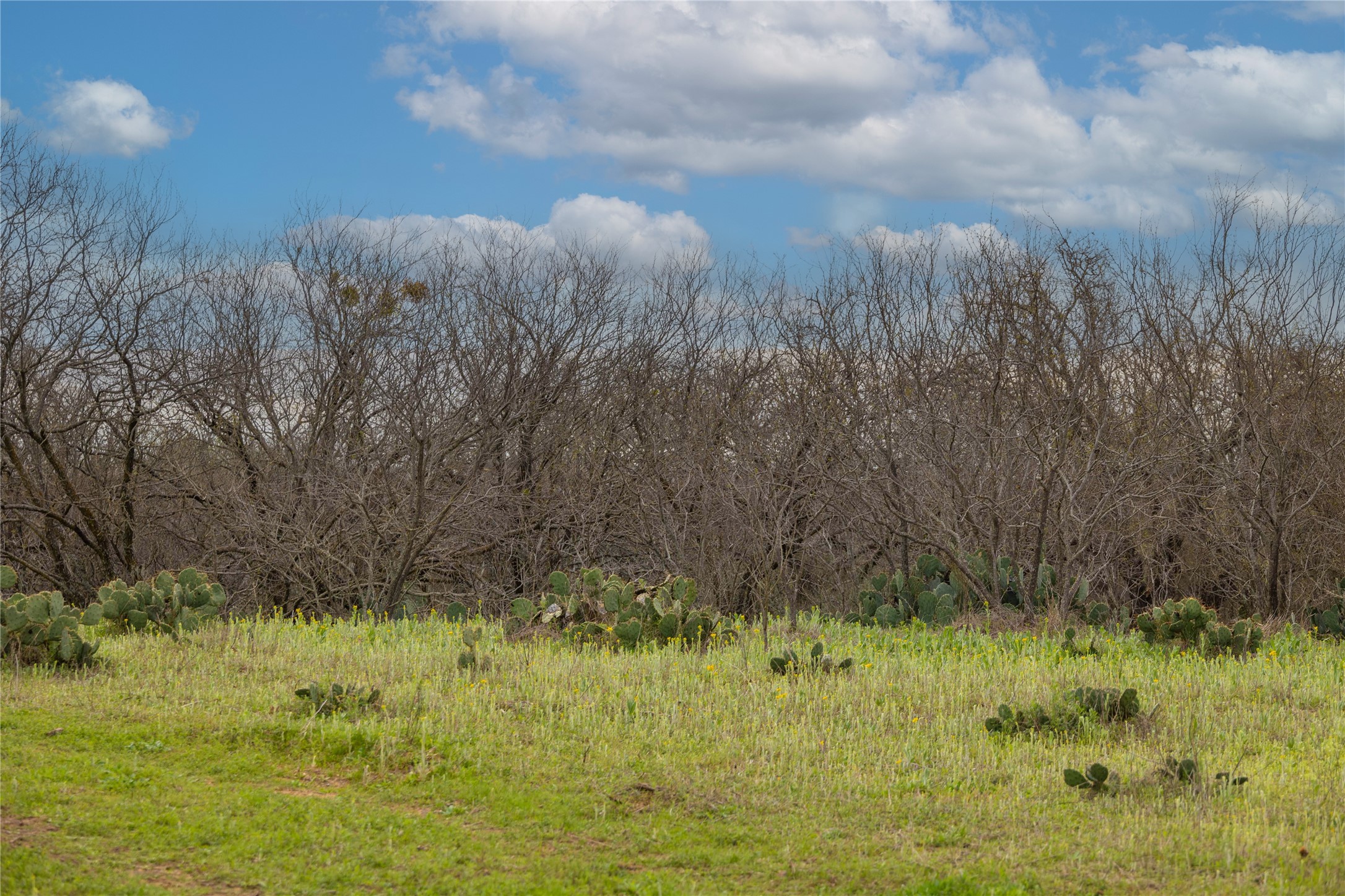 801 County Road 166 Gorman TX 76454