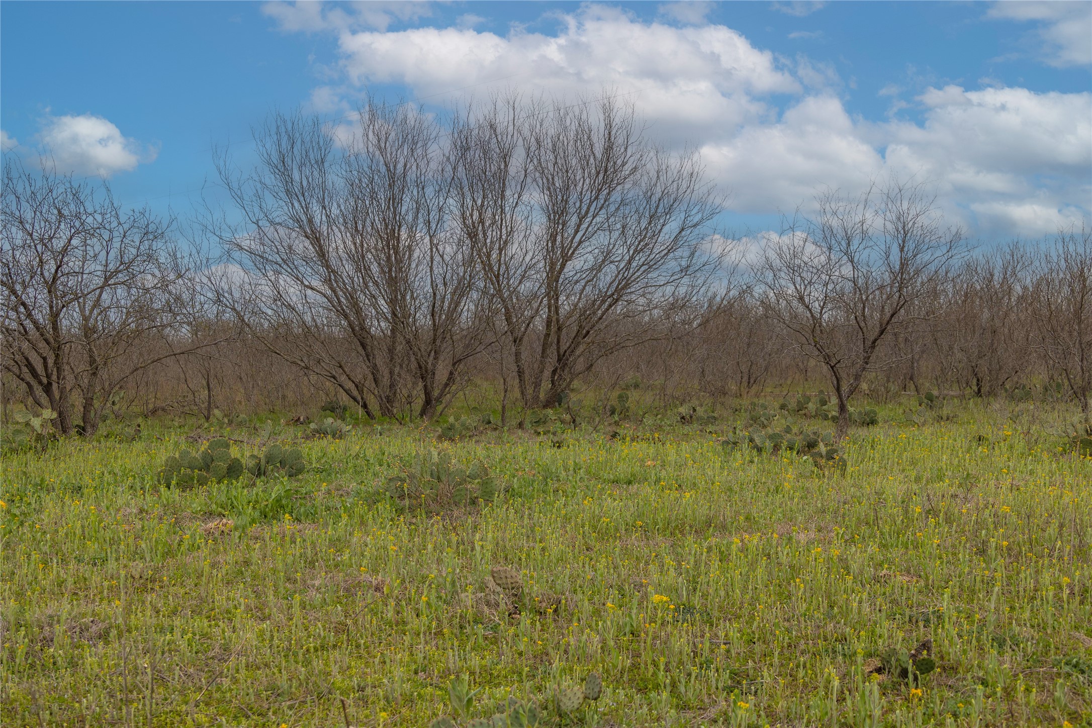 801 County Road 166 Gorman TX 76454