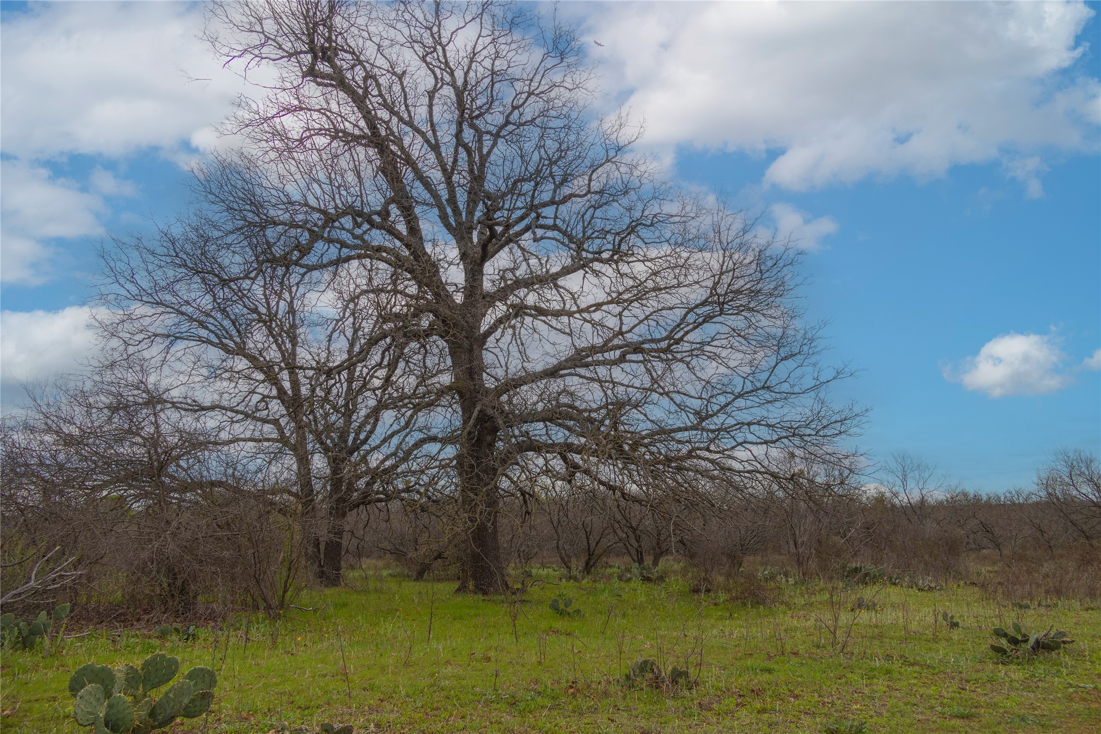 801 County Road 166 Gorman TX 76454