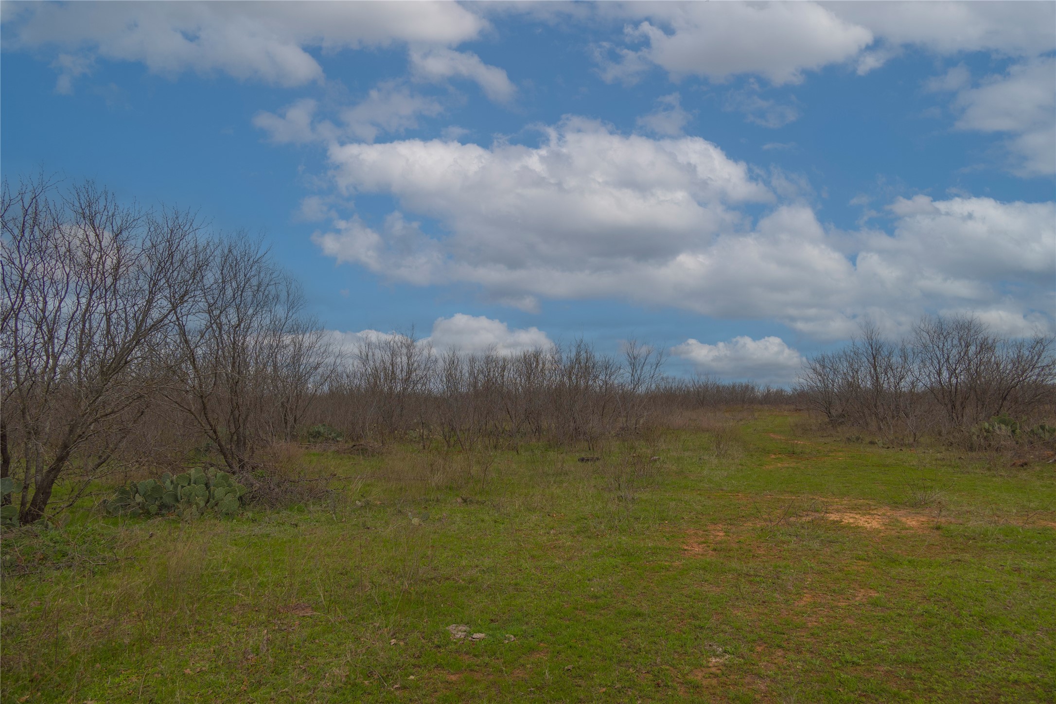 801 County Road 166 Gorman TX 76454