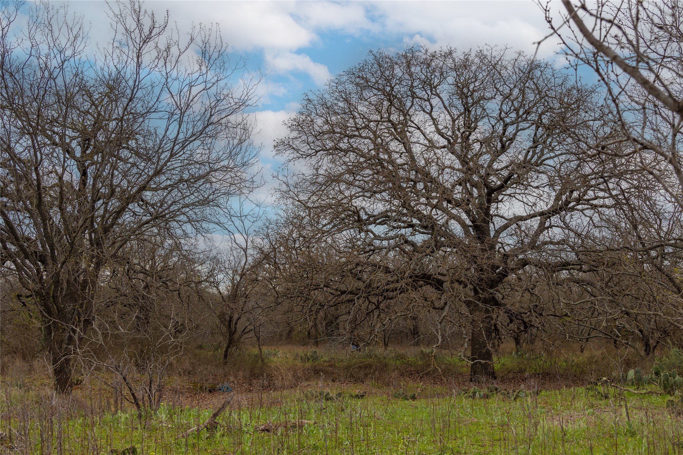 801 County Road 166 Gorman TX 76454