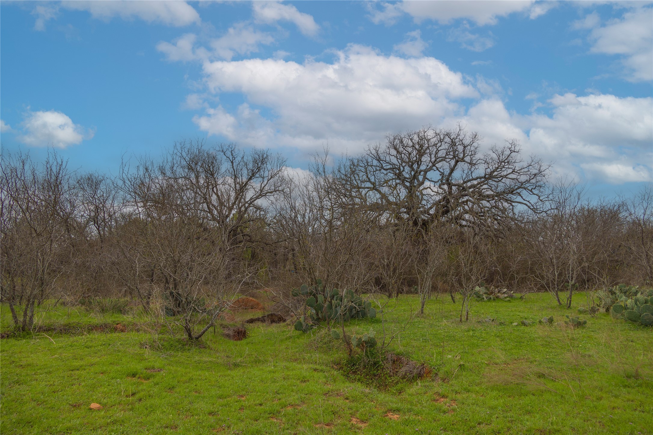 801 County Road 166 Gorman TX 76454