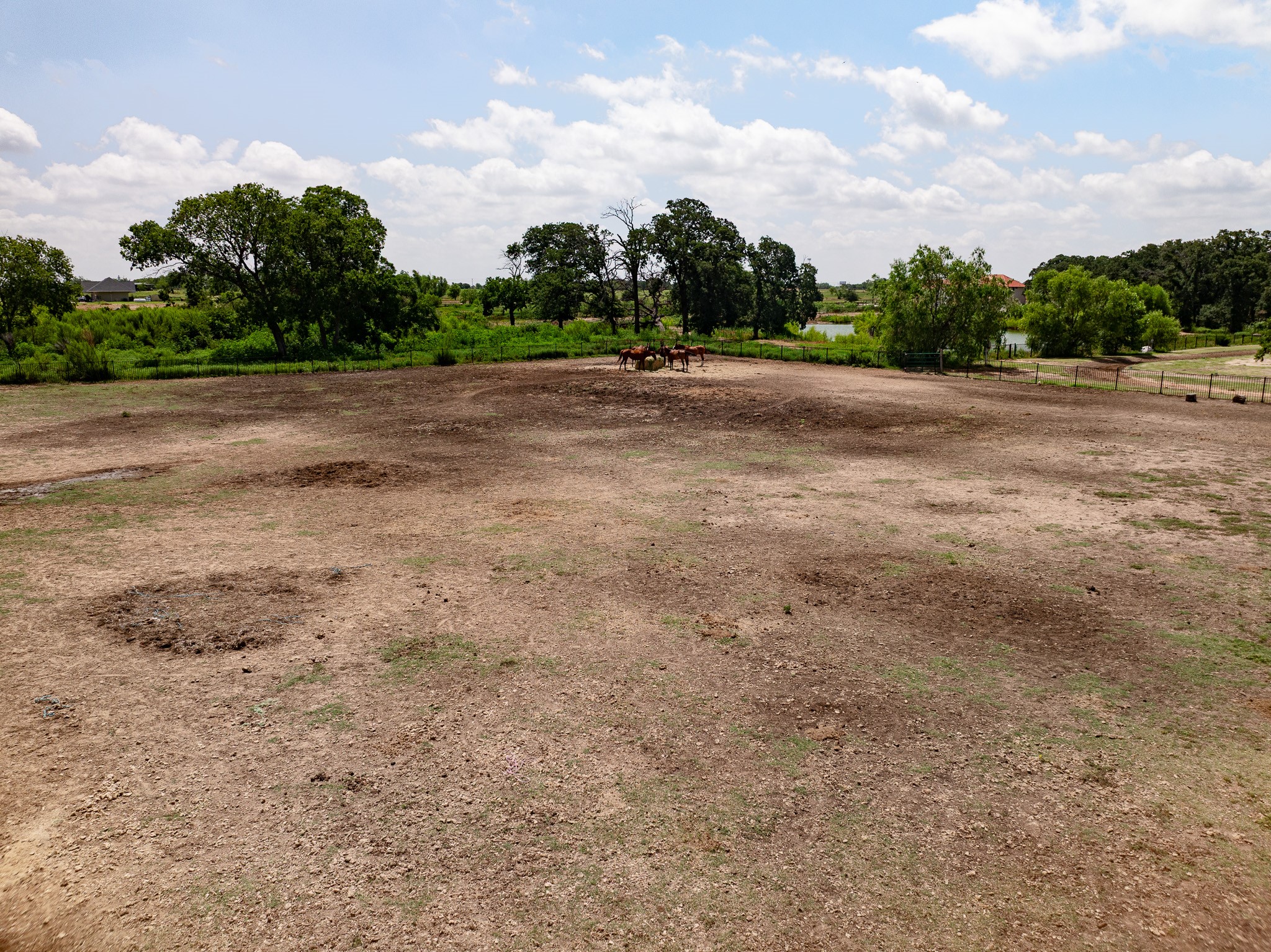 311 Martingale Trail Oak Point TX 75068
