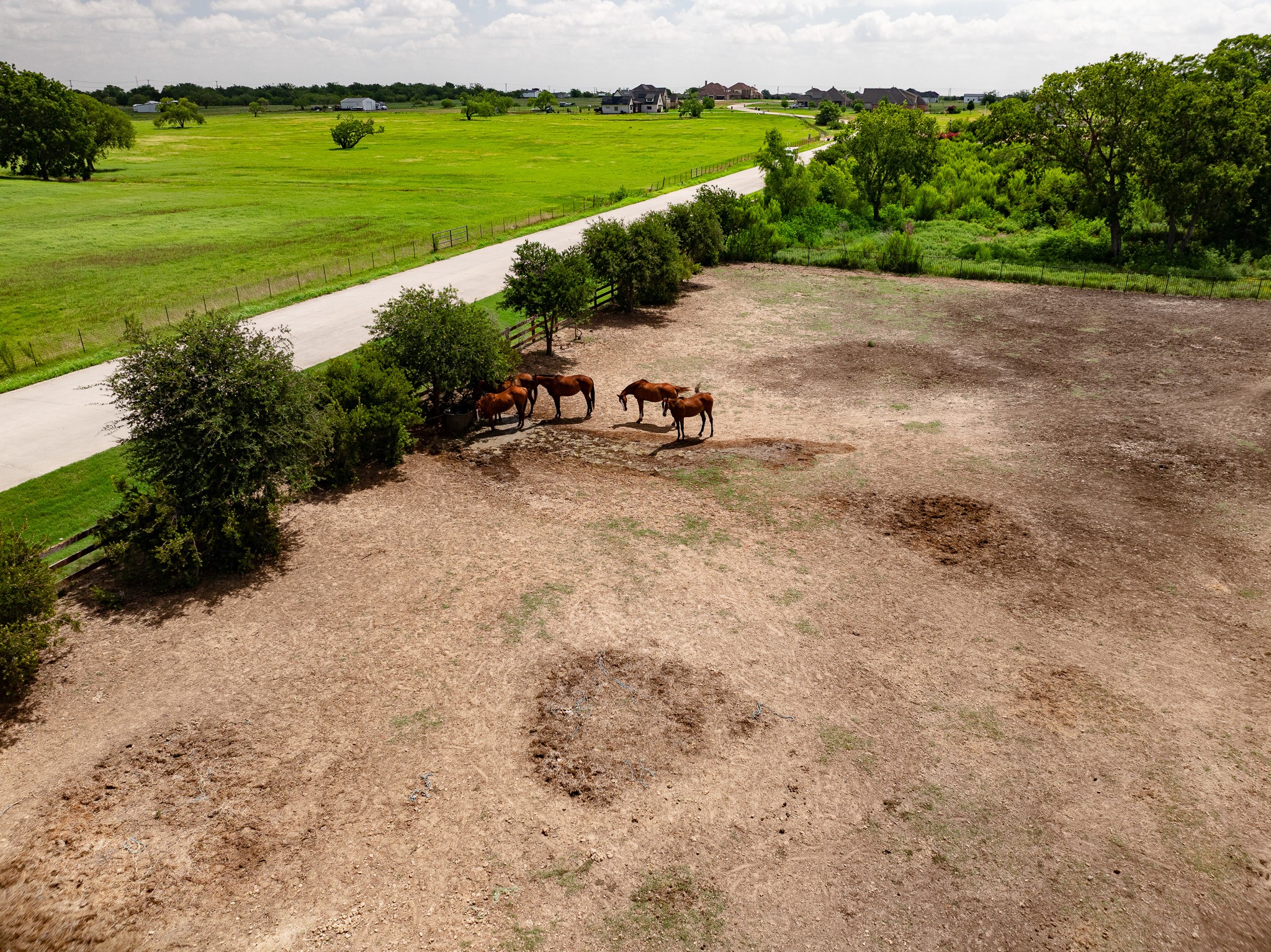 311 Martingale Trail Oak Point TX 75068