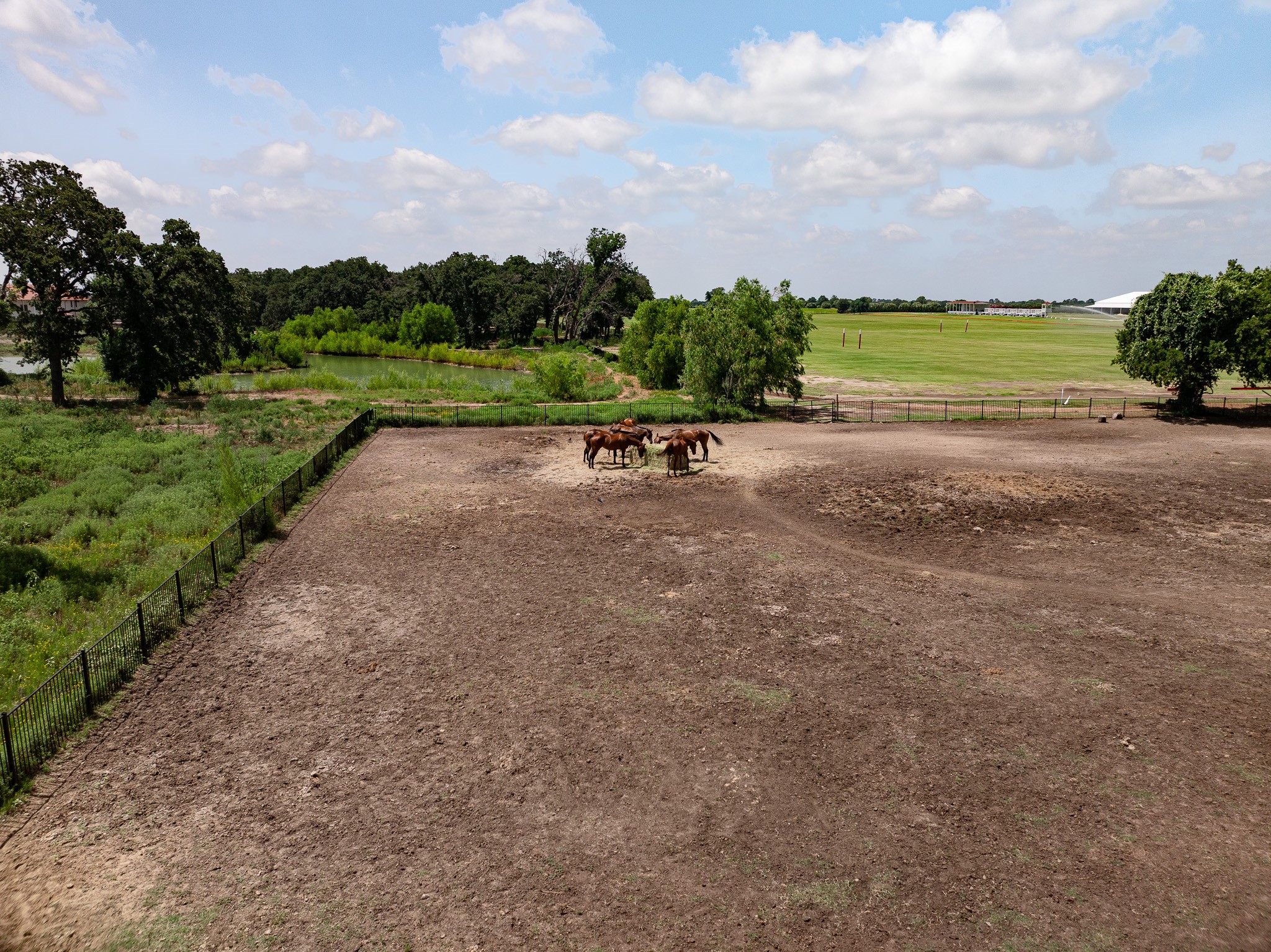 311 Martingale Trail Oak Point TX 75068