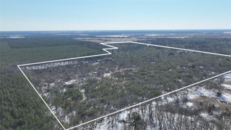 TBD County Road 2242 S. Bagwell TX 75412