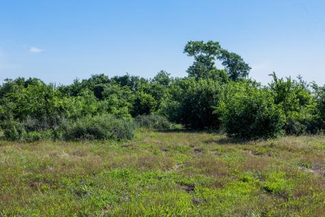 Tract 1 Tbd Lcr 392 Groesbeck TX 76642