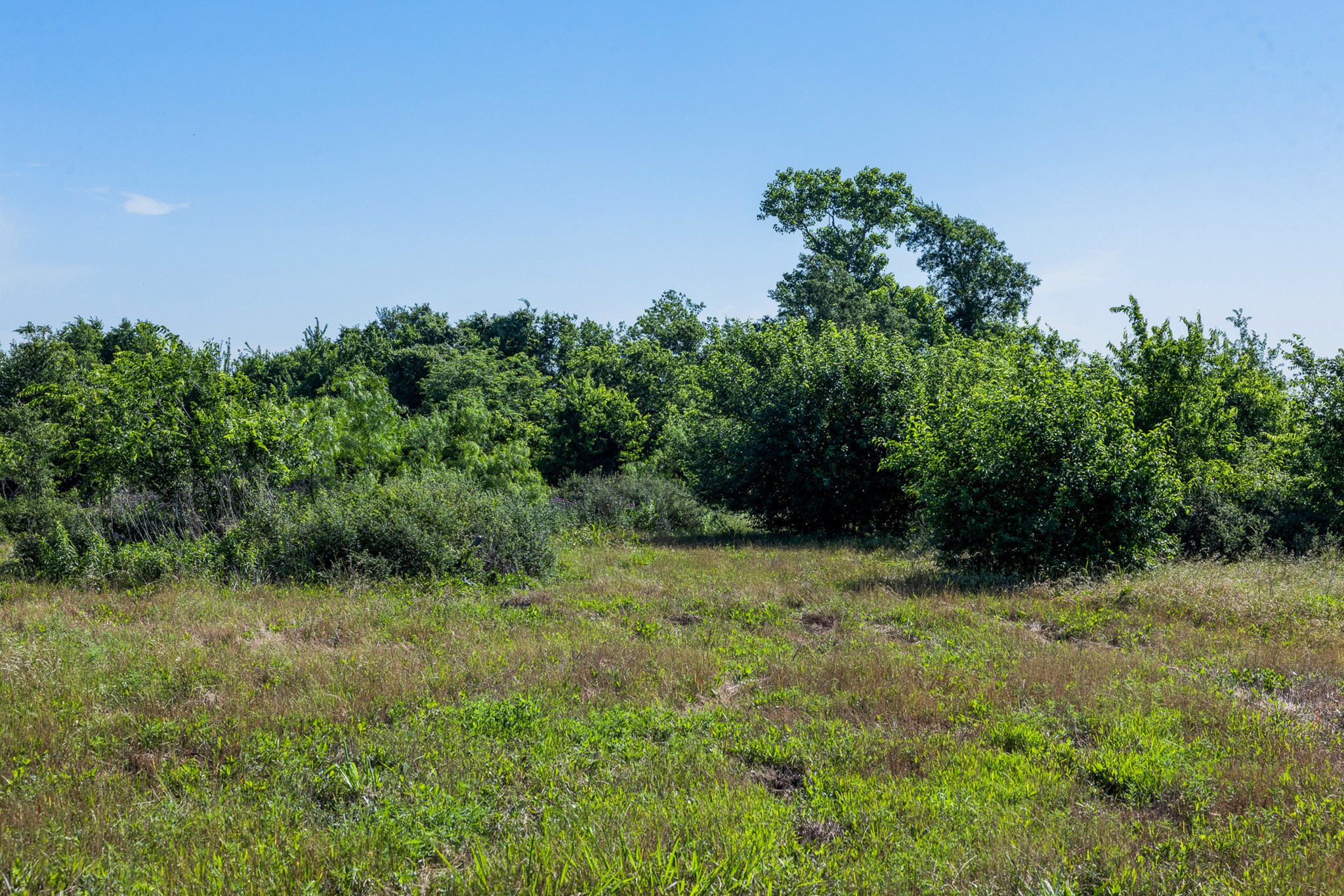 Tract 1 Tbd Lcr 392 Groesbeck TX 76642