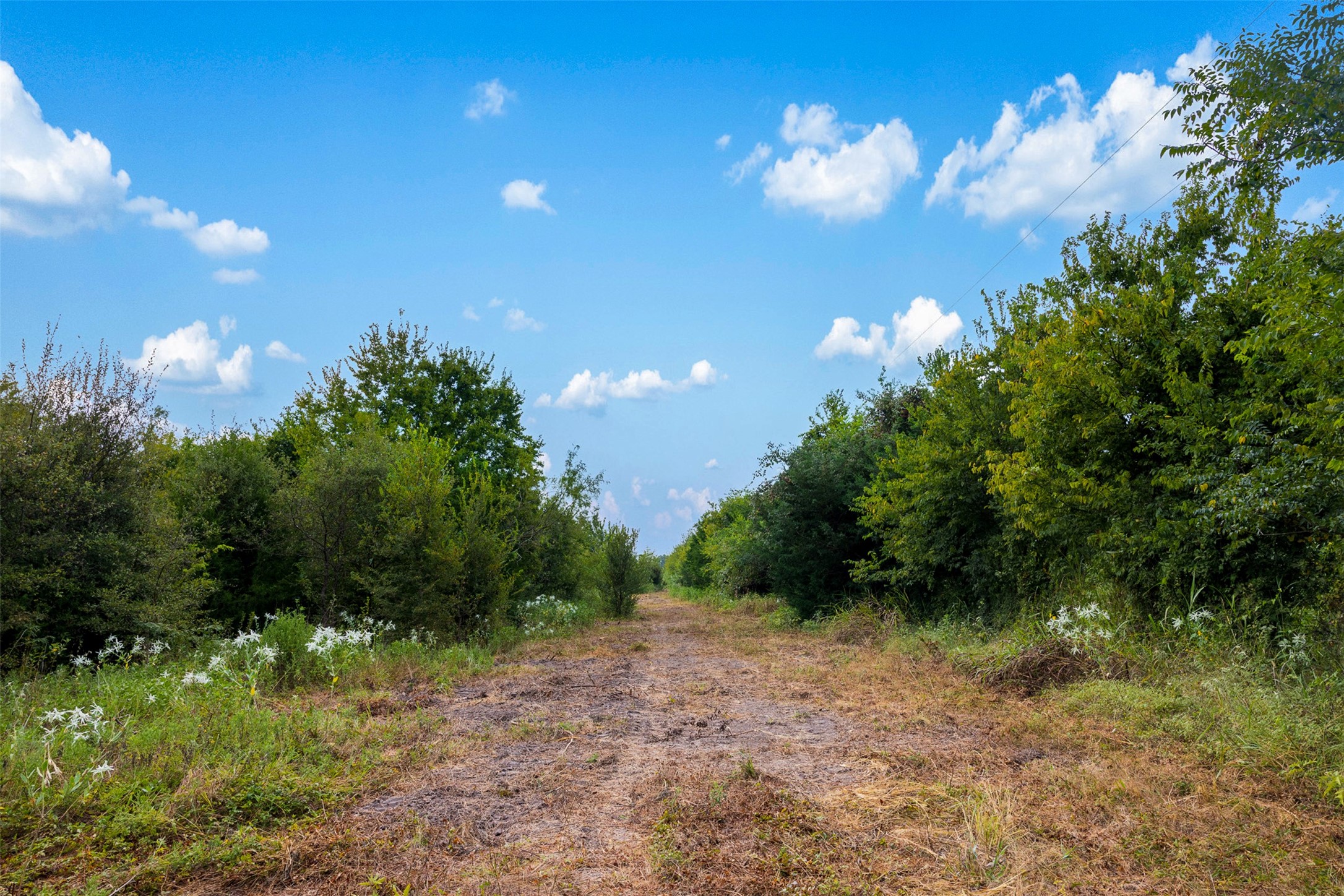 Tract 1 Tbd Lcr 392 Groesbeck TX 76642