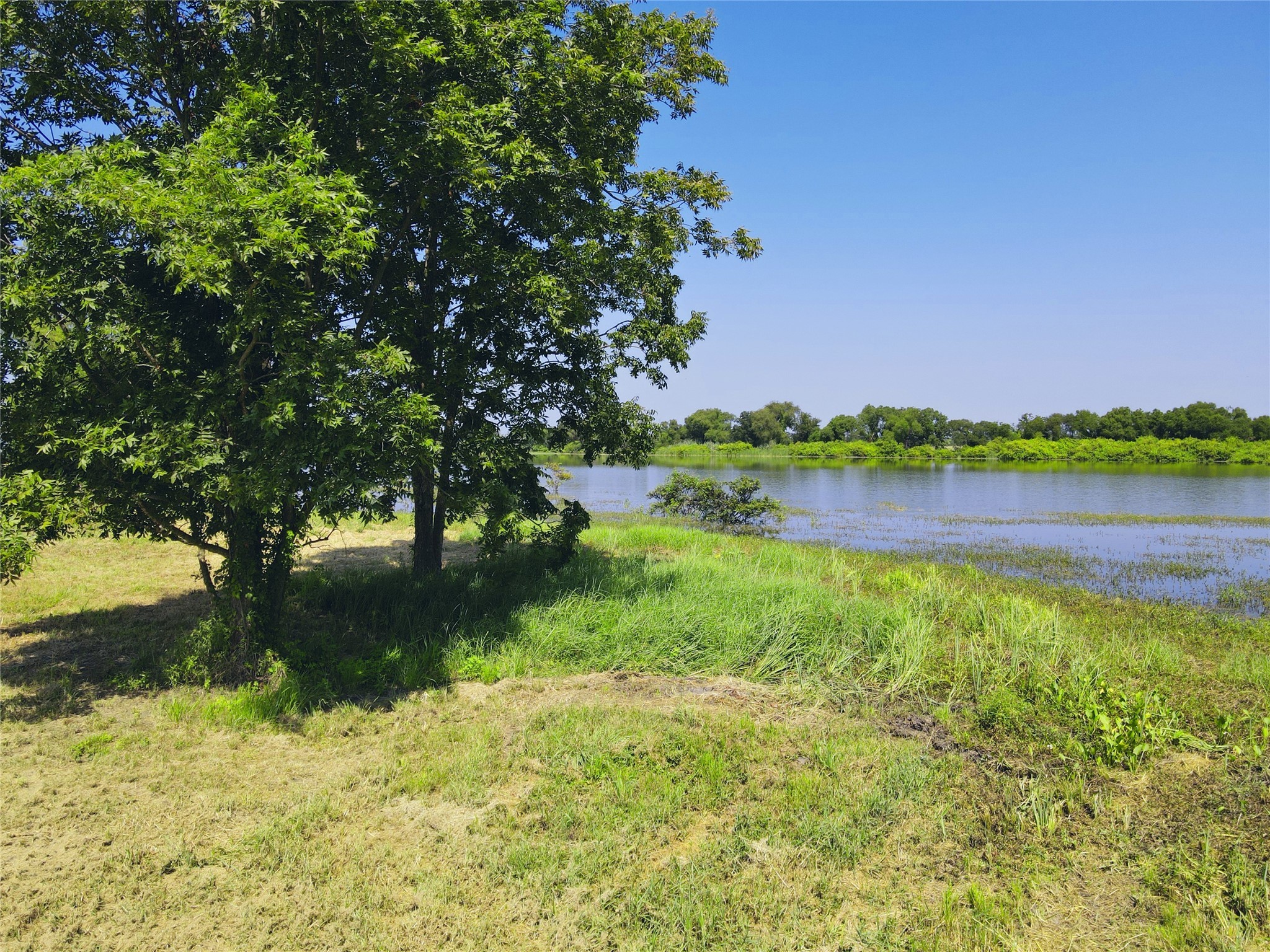 5086 Waterfront Road Kerens TX 75144