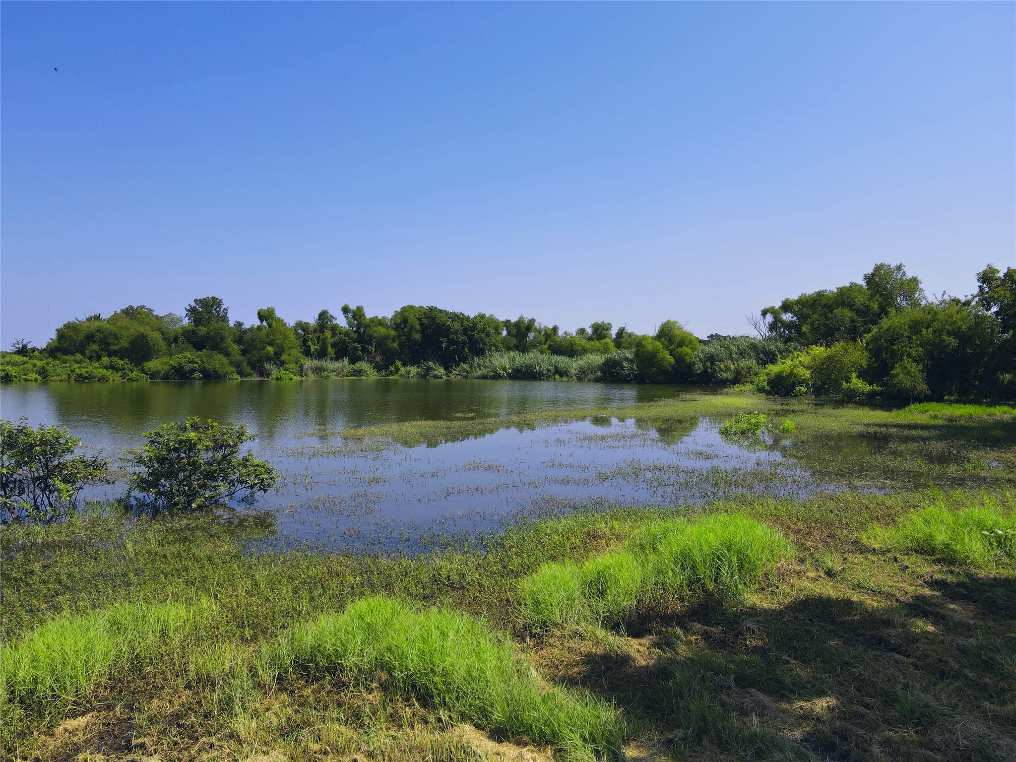 5086 Waterfront Road Kerens TX 75144