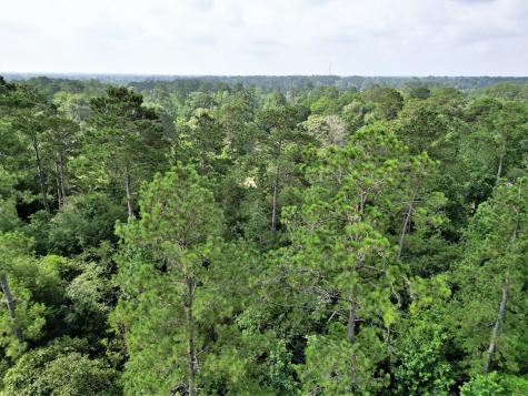 Lot 8 Sir Ewaine Drive Woodville TX 75979