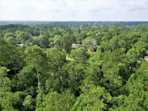 Lot 8 Sir Ewaine Drive Woodville TX 75979