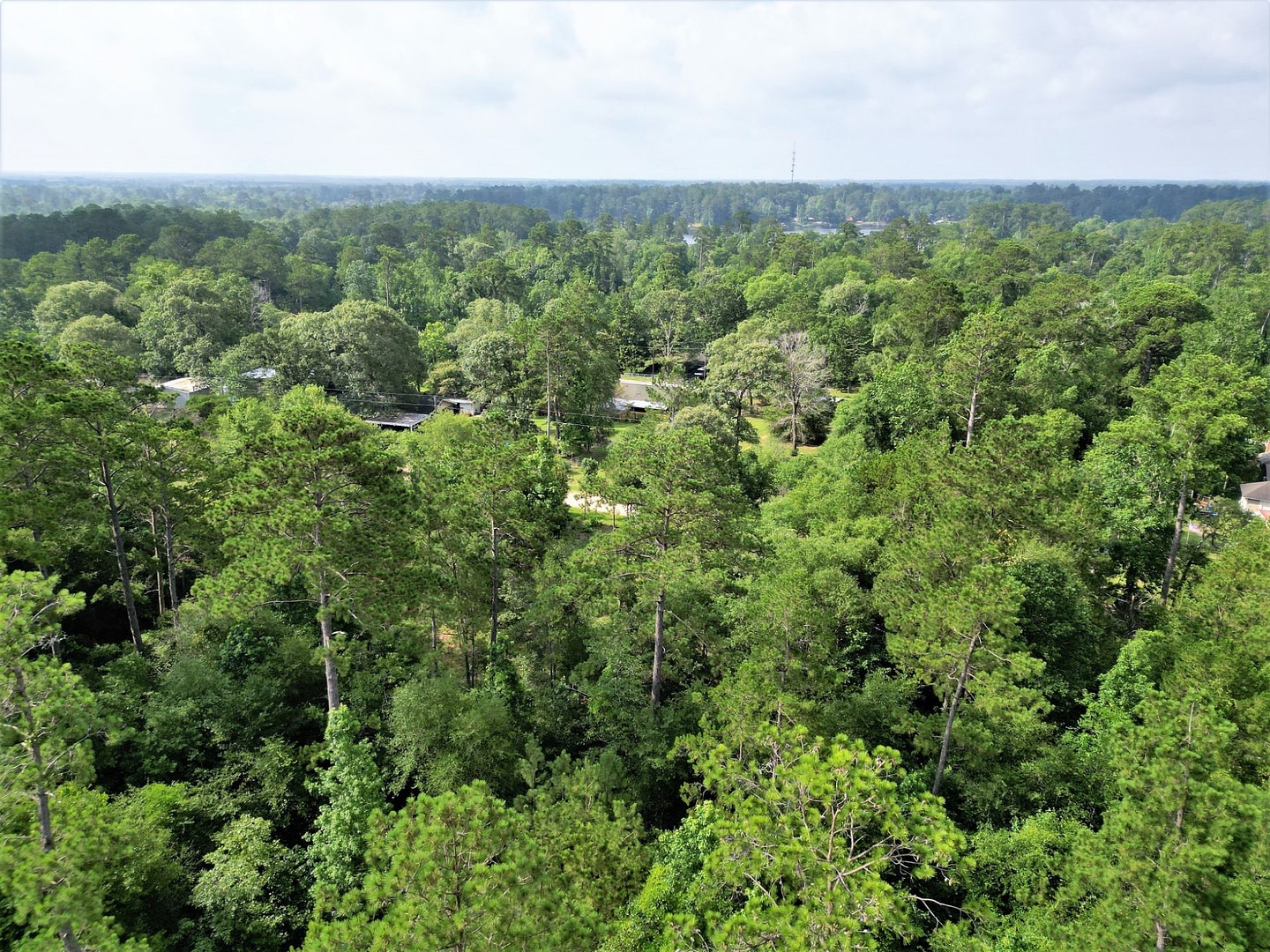 Lot 8 Sir Ewaine Drive Woodville TX 75979