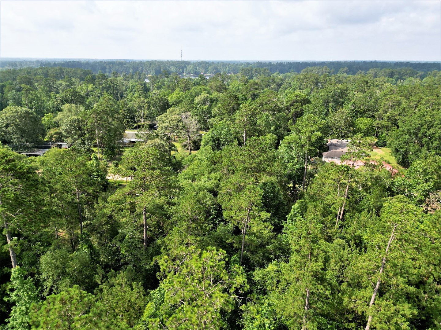 Lot 8 Sir Ewaine Drive Woodville TX 75979