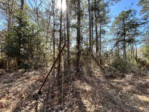 Lot 8 Sir Ewaine Drive Woodville TX 75979