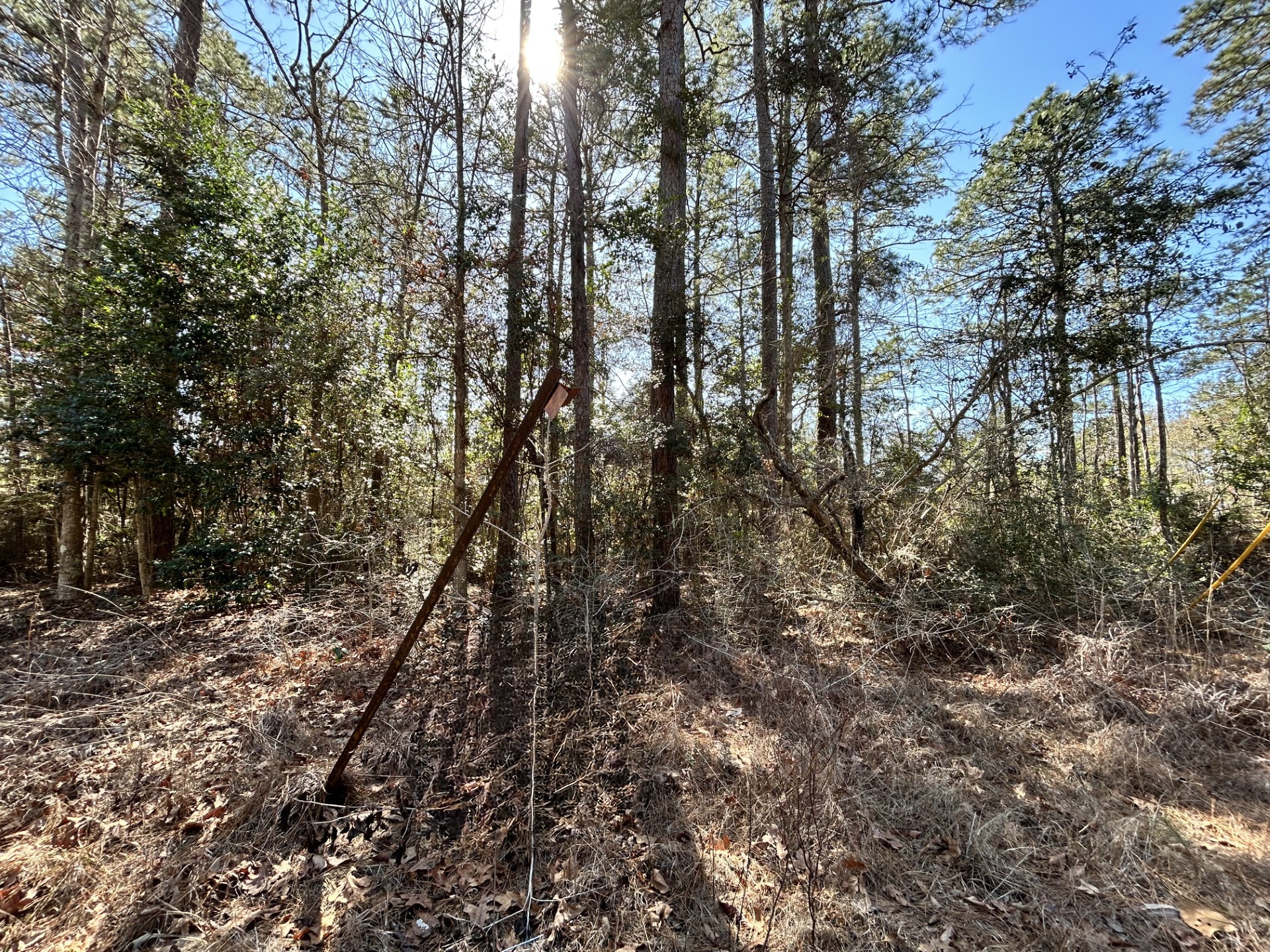 Lot 8 Sir Ewaine Drive Woodville TX 75979
