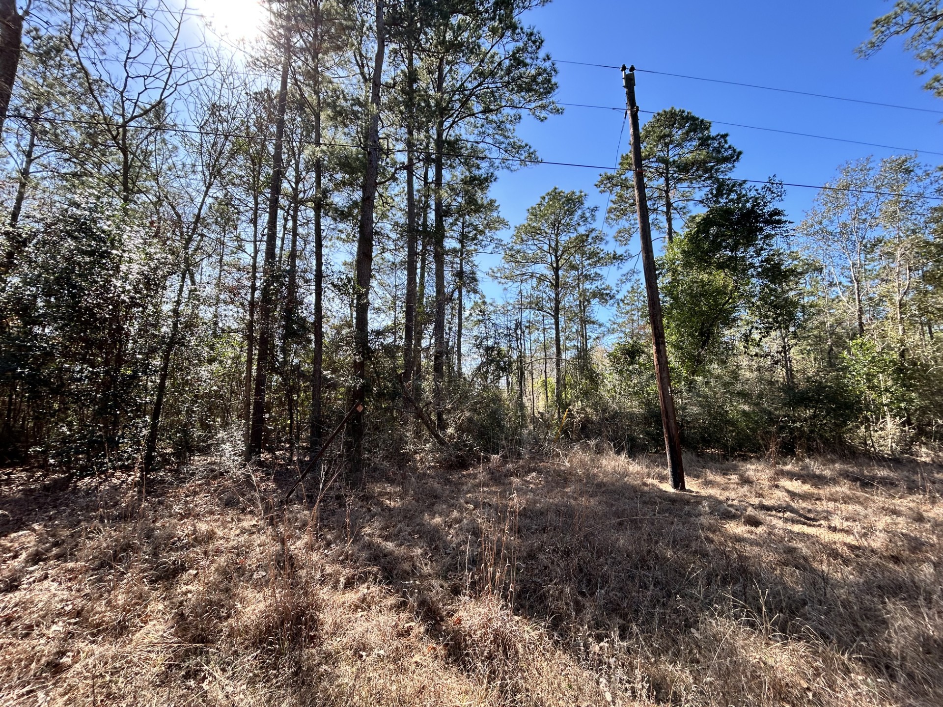 Lot 8 Sir Ewaine Drive Woodville TX 75979
