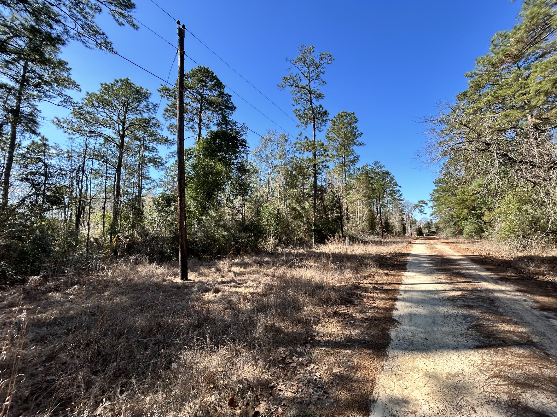 Lot 8 Sir Ewaine Drive Woodville TX 75979