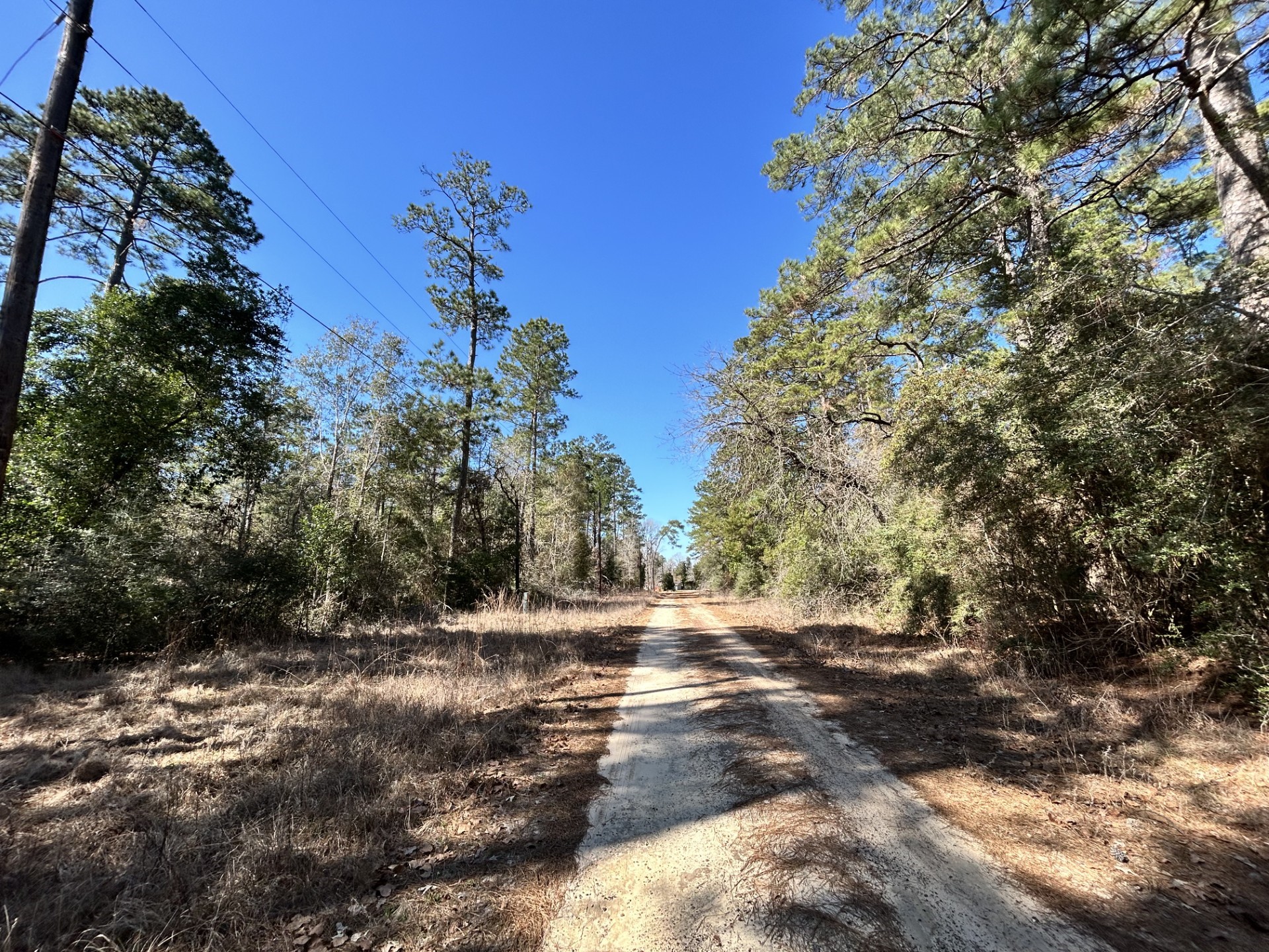 Lot 8 Sir Ewaine Drive Woodville TX 75979